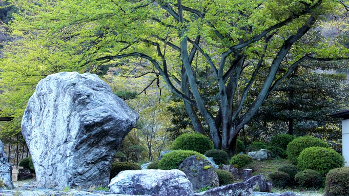 日本庭園を眺め優雅なひと時を♪　素泊まりプラン【岐阜っぽプラン】